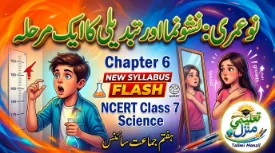 7th-science-chapter-6