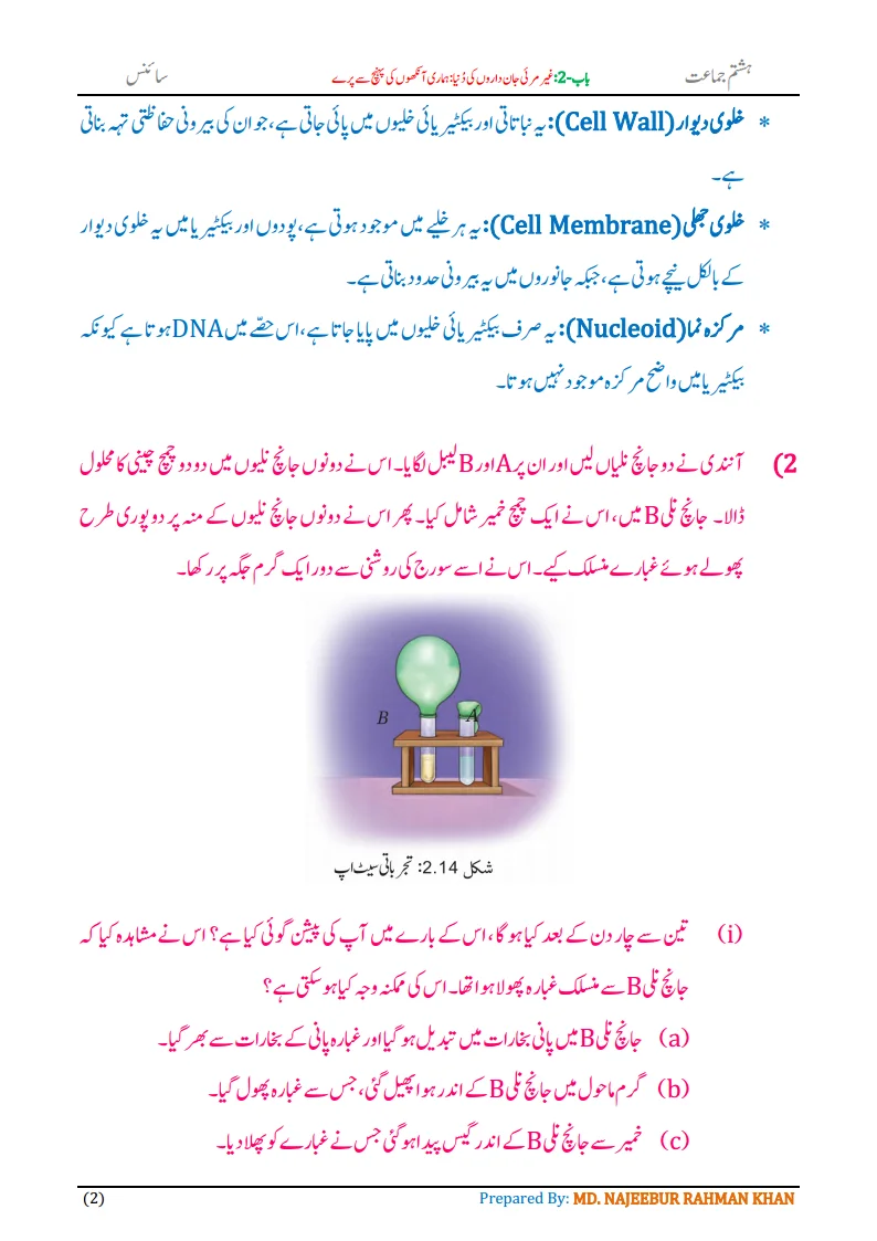 Notes For Class 8 Science Chapter-2 Gair Marai Jandaro ki Dunia | ہشتم جماعت سائنس نوٹس سبق غیر مرئی جان داروں کی دُنیا 4 - Study Manzil Notes Notes For Class 8 Science Chapter-2 Gair Marai Jandaro ki Dunia | ہشتم جماعت سائنس نوٹس سبق غیر مرئی جان داروں کی دُنیا | www.notes.studymanzil.com